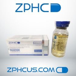 Testosterone Undecanoate 250 mg/ml 10 ml ZPHC